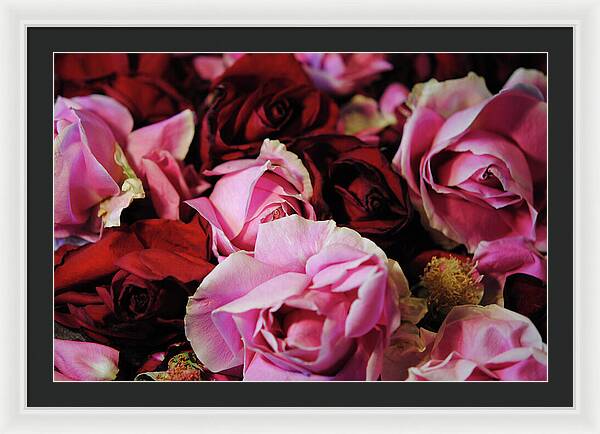 Raw Flowers 20 - Framed Print