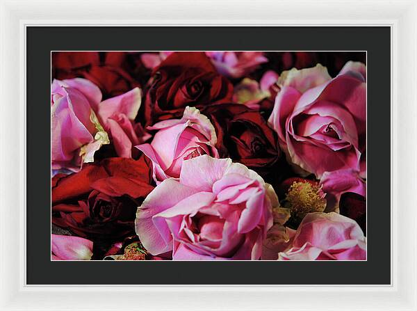 Raw Flowers 20 - Framed Print