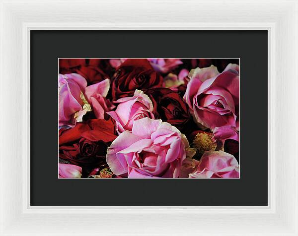 Raw Flowers 20 - Framed Print