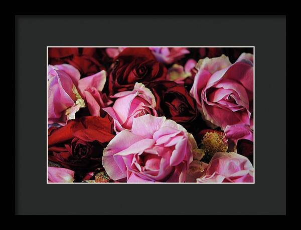 Raw Flowers 20 - Framed Print