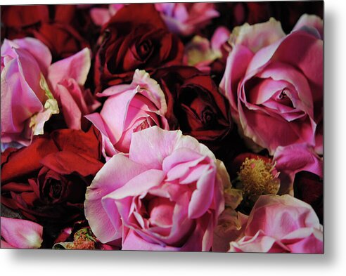 Raw Flowers 20 - Metal Print