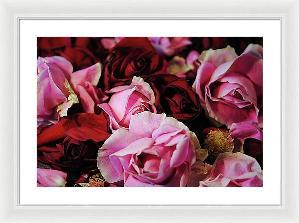 Raw Flowers 20 - Framed Print