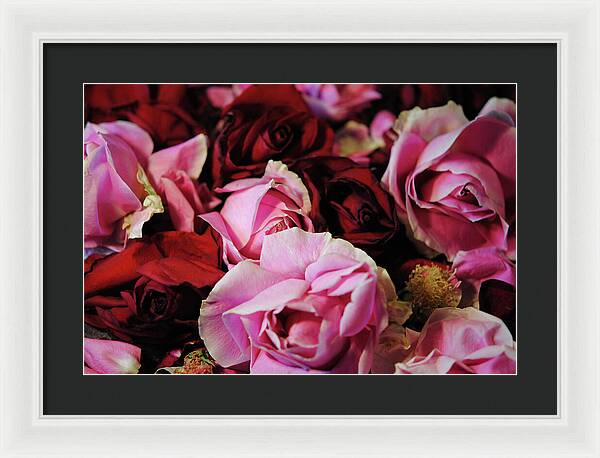 Raw Flowers 20 - Framed Print