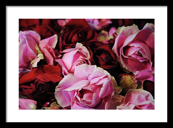 Raw Flowers 20 - Framed Print