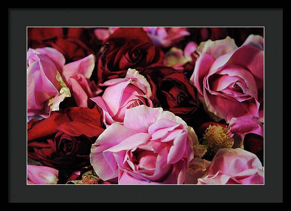 Raw Flowers 20 - Framed Print