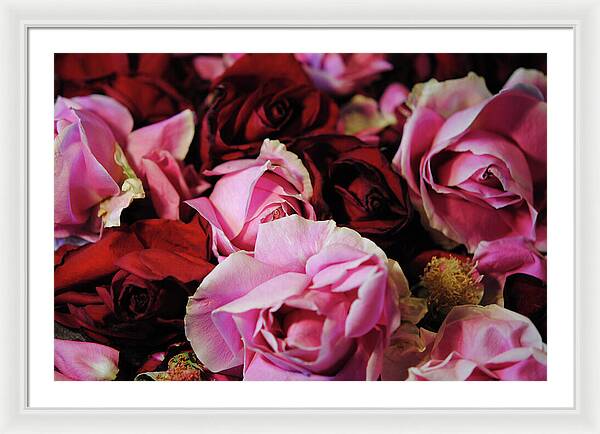 Raw Flowers 20 - Framed Print