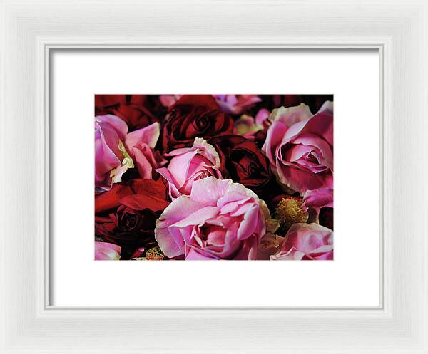 Raw Flowers 20 - Framed Print