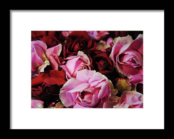 Raw Flowers 20 - Framed Print