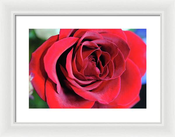 Raw Flowers 22 - Framed Print