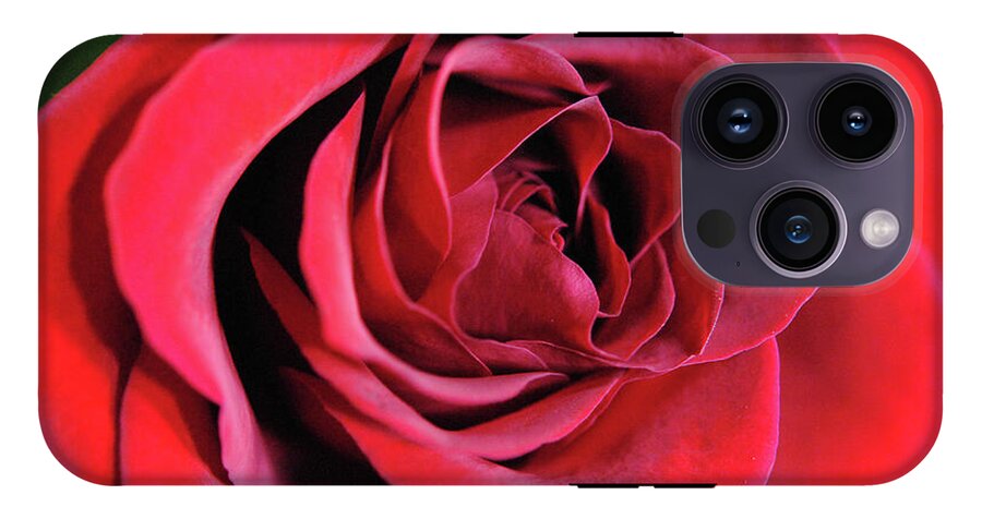 Raw Flowers 22 - Phone Case