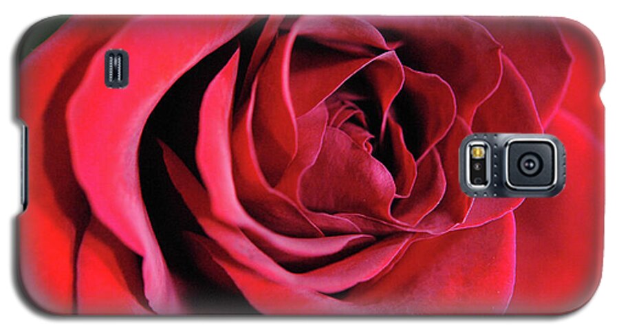 Raw Flowers 22 - Phone Case