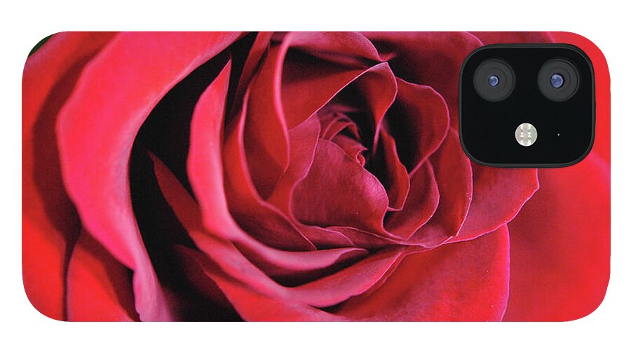 Raw Flowers 22 - Phone Case