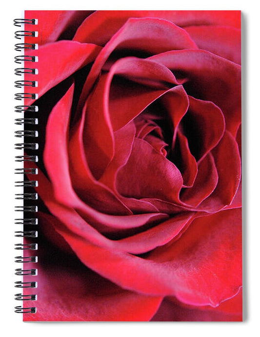 Raw Flowers 22 - Spiral Notebook