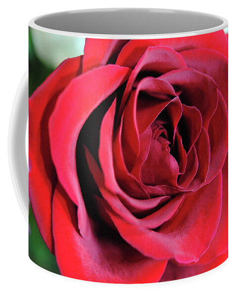 Raw Flowers 22 - Mug