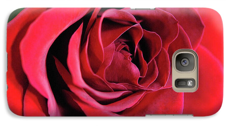 Raw Flowers 22 - Phone Case