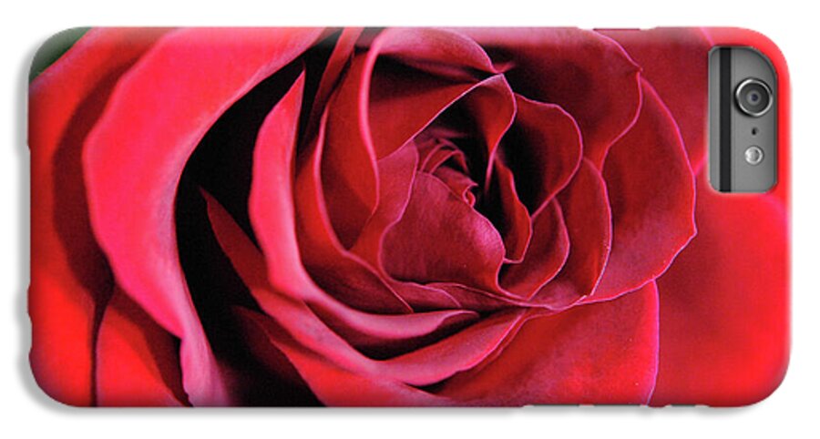 Raw Flowers 22 - Phone Case