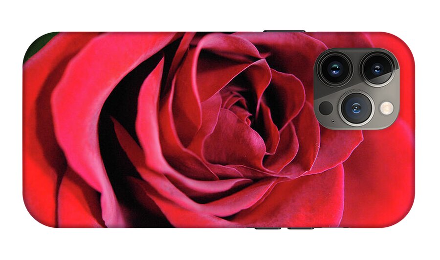 Raw Flowers 22 - Phone Case