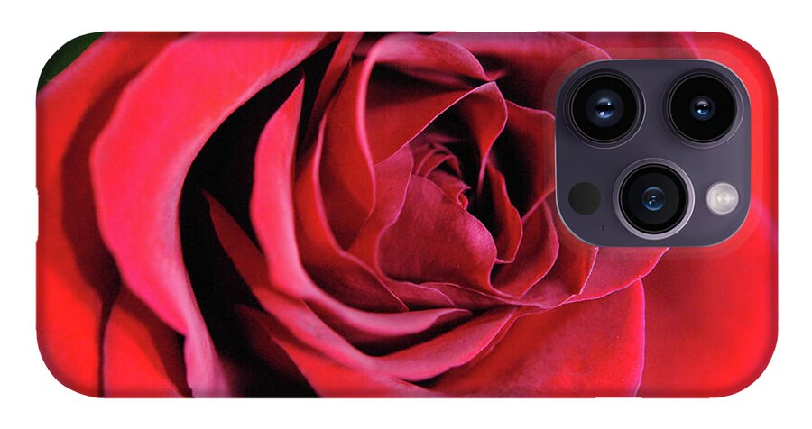 Raw Flowers 22 - Phone Case