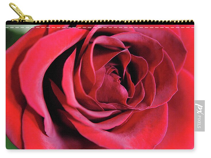 Raw Flowers 22 - Zip Pouch