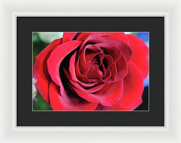 Raw Flowers 22 - Framed Print