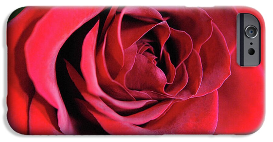 Raw Flowers 22 - Phone Case