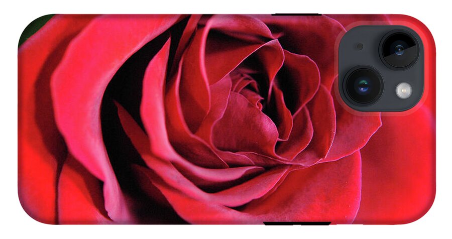 Raw Flowers 22 - Phone Case