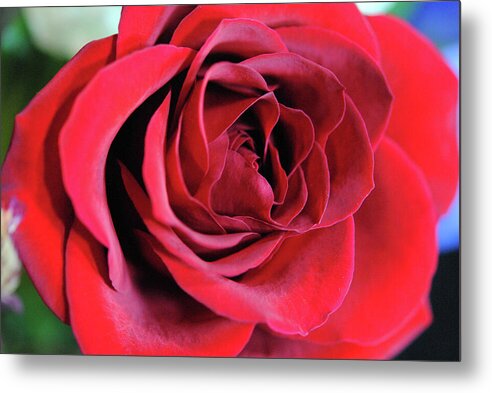 Raw Flowers 22 - Metal Print