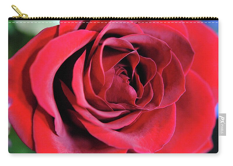 Raw Flowers 22 - Zip Pouch