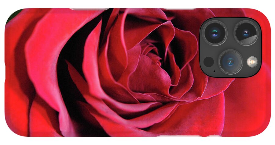 Raw Flowers 22 - Phone Case