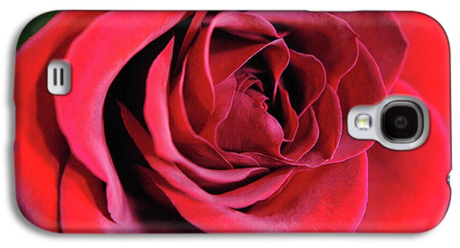 Raw Flowers 22 - Phone Case