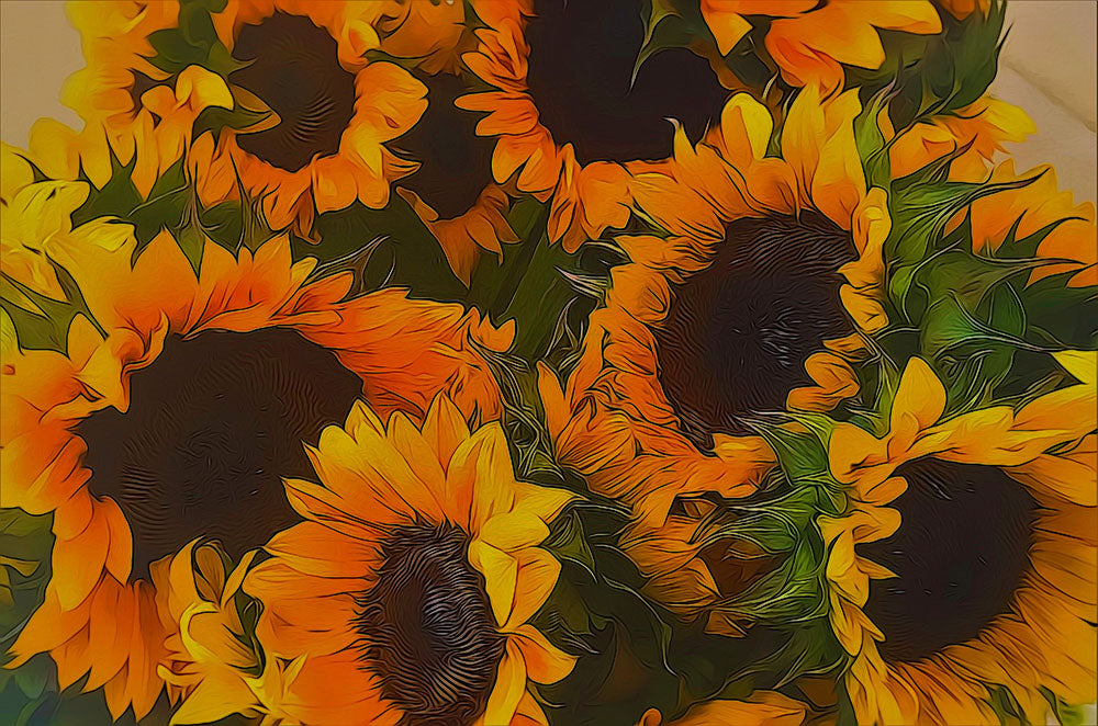 Sunflowers Digital Image Download