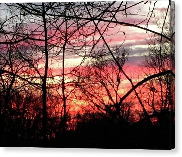 Sunset Through The Trees 2 - Canvas Print