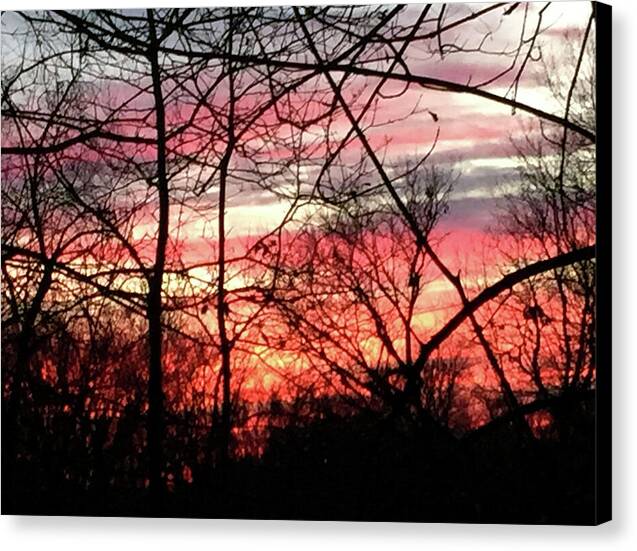 Sunset Through The Trees 2 - Canvas Print