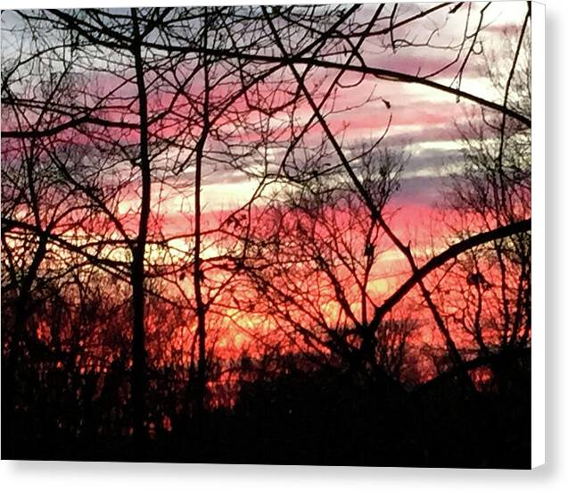 Sunset Through The Trees 2 - Canvas Print