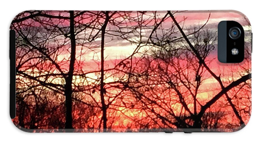 Sunset Through The Trees 2 - Phone Case