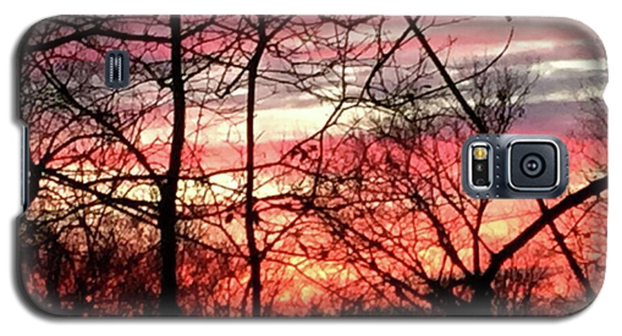 Sunset Through The Trees 2 - Phone Case