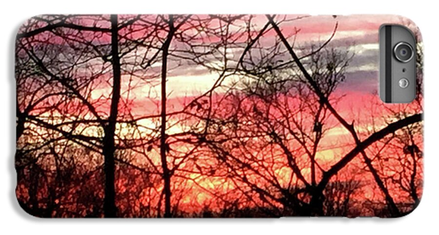 Sunset Through The Trees 2 - Phone Case