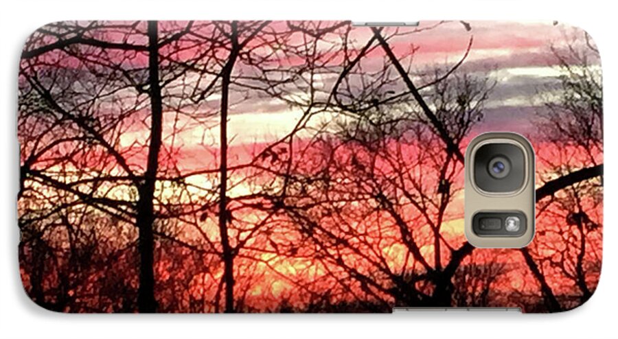 Sunset Through The Trees 2 - Phone Case