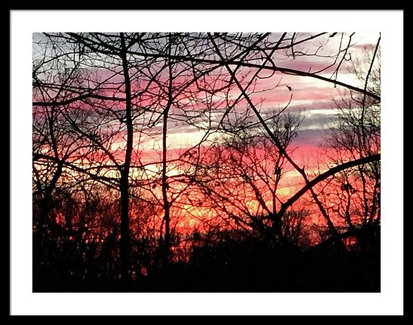 Sunset Through The Trees 2 - Framed Print