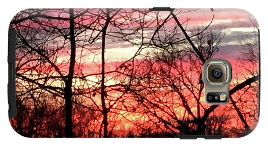 Sunset Through The Trees 2 - Phone Case