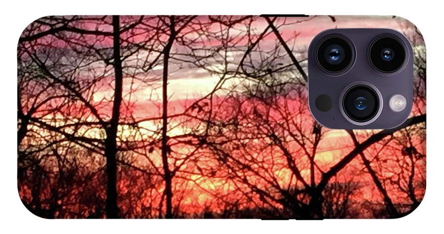 Sunset Through The Trees 2 - Phone Case