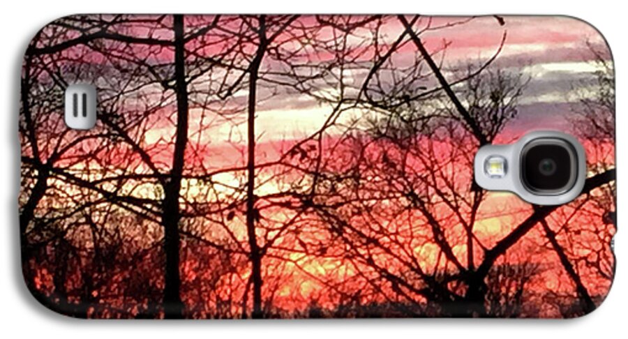 Sunset Through The Trees 2 - Phone Case