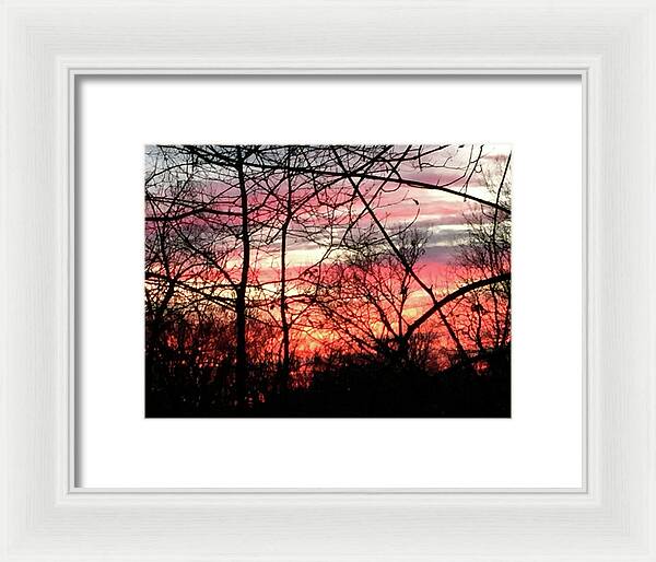 Sunset Through The Trees 2 - Framed Print