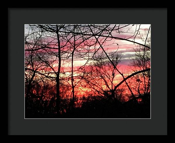 Sunset Through The Trees 2 - Framed Print