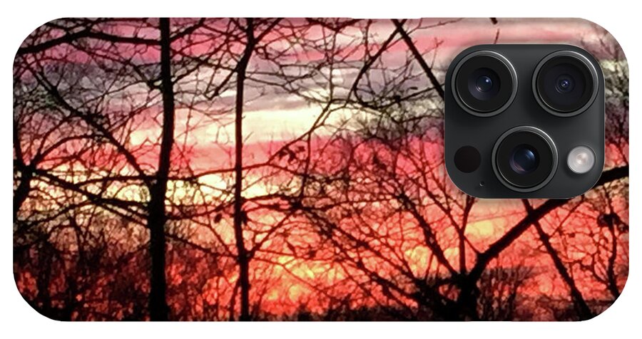 Sunset Through The Trees 2 - Phone Case