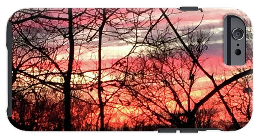 Sunset Through The Trees 2 - Phone Case