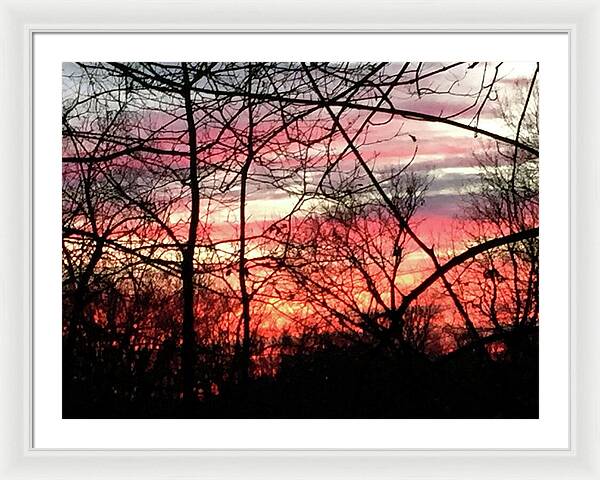 Sunset Through The Trees 2 - Framed Print