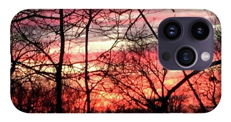 Sunset Through The Trees 2 - Phone Case