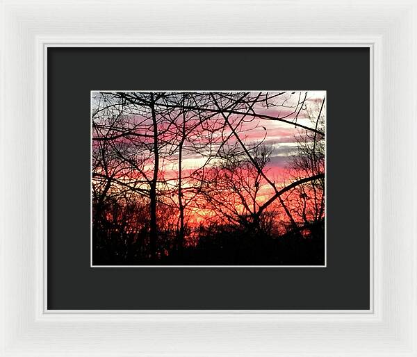 Sunset Through The Trees 2 - Framed Print