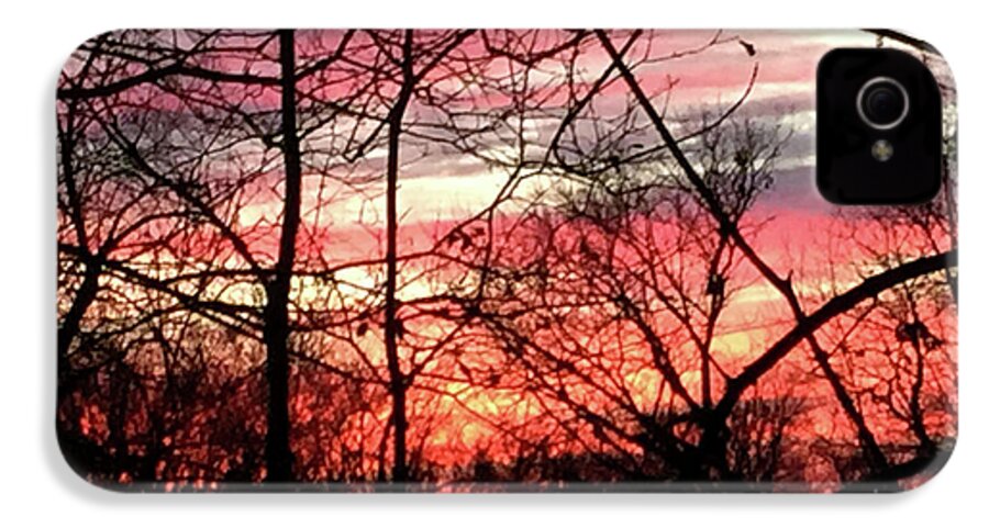 Sunset Through The Trees 2 - Phone Case